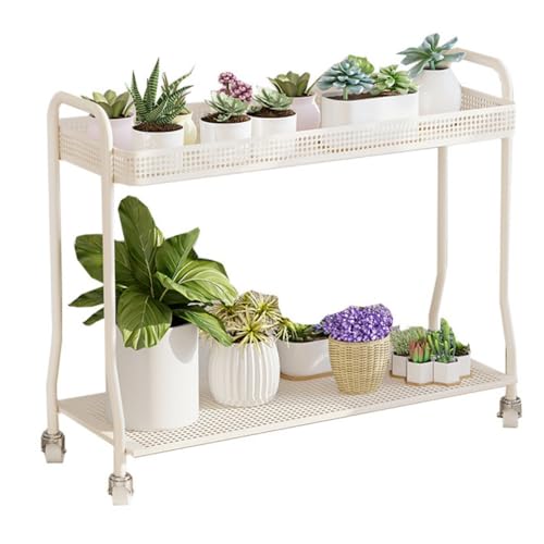 t[X^h AK[fX^ht[X^hA KтȂ LX^[t ړe  K[fpi Api  oRj[ rO[A[Ax_AOA (100cm) [sAi]