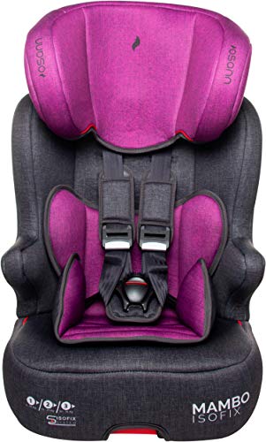 Osann Mambo Isofix Kinderautositz Gruppe 1/2/3 (9-36 kg), Autositz Lila