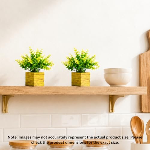Image of DecoreBugs Artificial Eucalyptus Plant with Plastic Pot (Pack of 2) | 12 cm Height | Mini Potted Plants for Shelf Decor, Home, Office, Living Room, Desk & Table Item Decoration