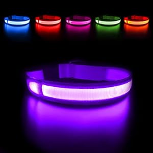 MASBRILL Collar Luminoso Perro de Mascota, 3 Modos Collar Luz Perro con Recargable y Impermeable, Ajustable Collares LED para Perros Pequeños/Medianos/Grandes(Morado L)