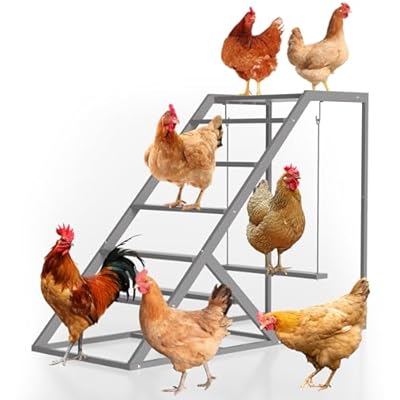 Chicken Perch for Coop with Ladder, Chicken Roosting Bars for Chickens in Coop with Swing Set Wooden Run Accessories Toy Chick Roost Activity Playground for Backyard Farm, Grey