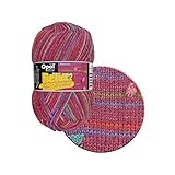 毛糸 Opal-オパール- レリーフ2 Burgund 9661.ワイン系マルチカラー