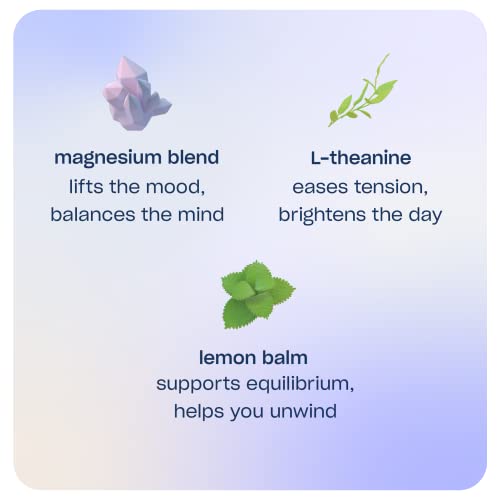 Recess Mood Magnesium Supplement Drink Calming Beverage, 12 Ounce, Pack Of 12 (Variety Pack, 12 Pack) *New Flavors* #TOP3