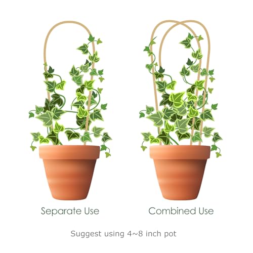Image of Cambaverd Indoor Plant Trellis for Climbing Plants 16in, 6 Pack Arch Bamboo Trellis for Potted Plants