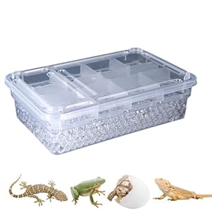 Ccuzs PNE50146 Inkubator Terrarium 20 Siatek