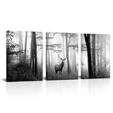 Visual Art Decor Black and White Wall Art Deer in Autumn Foggy Forest Picture Indeer Elk Stag Canvas Prints for Home Living Room Bedroom Wall Decoration Ready to Hang