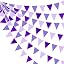Ombre Purple