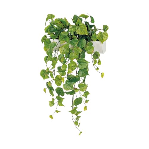 }Olbg|bg GR4489 yW300z p ǖʗΉ EH[O[ tFCNO[  lHϗtA CeA