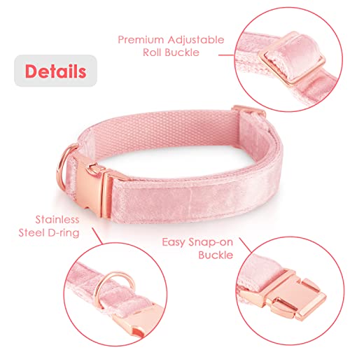 Bubblepupvelvetdogcollarandleashsetdogcollarsforsmallmediumlargedogsleashfortrainingwalking  Urban Country Home Decor Bubblepup velvet dog collar and leash set dog collars for small medium large dogs leash for training walking  urban country home decor