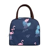 Andiker Insulated Lunch Bag, Reusable Water-resistant Thermal Aluminum Firm Lunch Container Portable