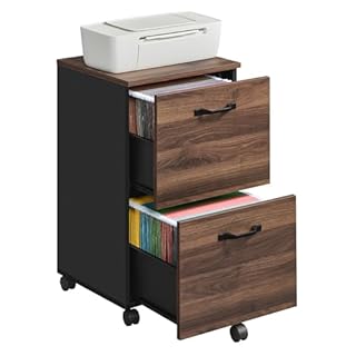 VASAGLE 2-Drawer Filing Cabinet, Mobile File Cabinet for Home Office, Printer Stand, A4, Letter-Size Files, Hanging File Folders, Natural Walnut and Ink Black OFC040K01