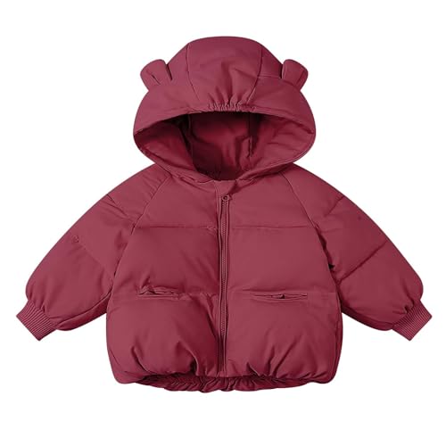 Baby Girl Boy Winter Coats Thicken Hoodie Down Padded Jacket Coat Outwear Windproof Snowsuit Clothing