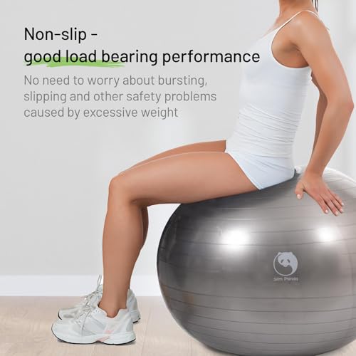 Slim Panda Exercise Ball, 65cm Yoga Ball for Workout, Birthing, Stability, Balance and Physical Therapy, Anti-Burst Pregnancy Ball, Yoga Ball Chair with Guide for Office, Home Gym(Sliver)