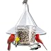 Arundale 360 Sky Cafe Wild Bird Feeder