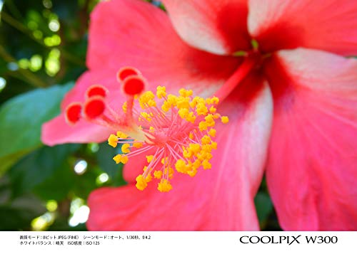 Nikon COOLPIX W300 OR クールピクス オレンジ の商品画像 13