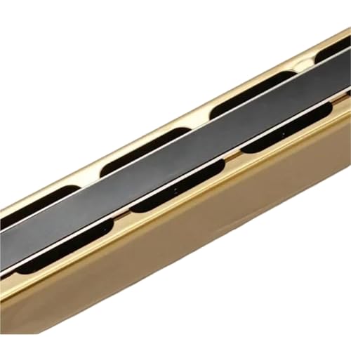 24���r�u���[�g�n�[���j�J�Z�b�g �v���d�l�̖؊Ǌy��(Golden color bB Key)