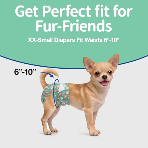 Image of Pet Soft Dog Diapers Female, Disposable Female Dog Diaper, Doggie Diapers for Cat Puppy with Adjustable Foam Tail Hole(Green,36XXS)