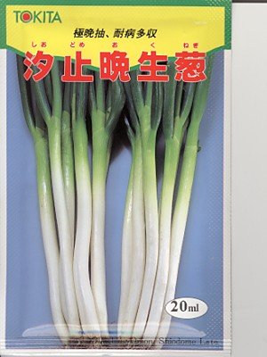 lM ~ӐK gL^c̕lMłB