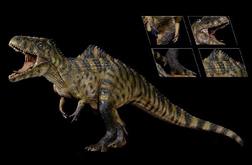 XINPANYIAN Nanmu Giganotosaurus King of The Border Carolinii 2.0 Dinosaur Model Normal Version Gusta
