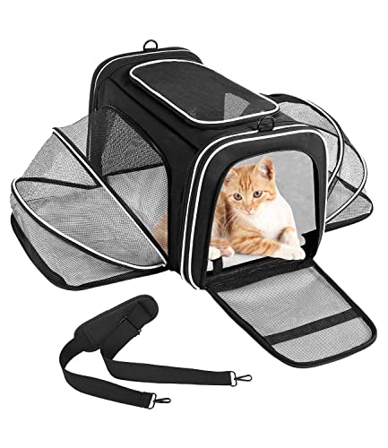 PERMUST Transportín Gato Perro Extensible, Plegable Transportín Perro Pequeño con Colchón Suave y Hebilla de Seguridad, Transportín para Gatos con Bolsillos, Gran Espacio para Coche, Avión, Viaje
