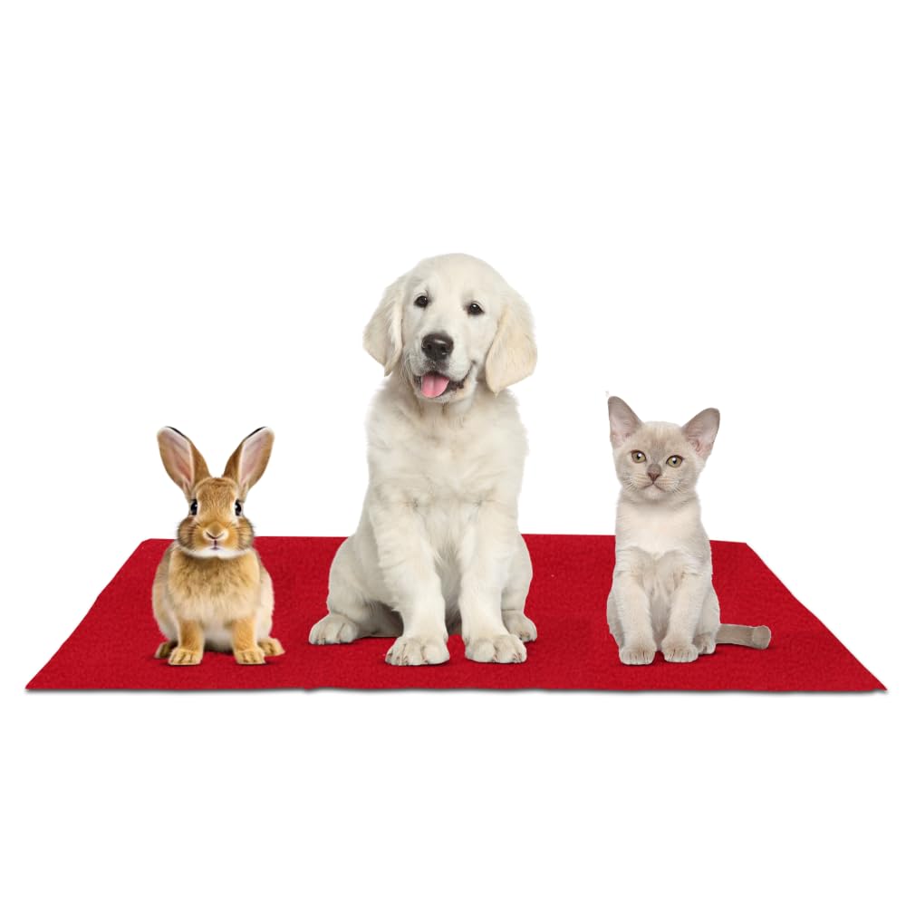 See full amazon price history chart for Cozymat High Absorbent Waterproof Reusable Washable Pee & Sleep Pads for Dogs, Cats, Rabbits | Reusable Dog Training Pads (Size: 70cm X 50cm) Sky Blue, Small Cozymat High Absorbent Waterproof Reusable Washable Pee & Sleep Pads for Dogs, Cats, Rabbits | Reusable Dog Training Pads (Size: 70cm X 50cm) Sky Blue, Small (B0D2NRZ92R) Amazon Price History, Amazon Price Tracker