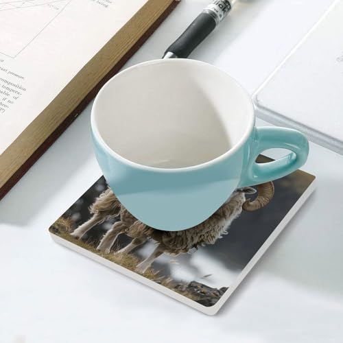 Dessous de verre pour table basse en céramique et liège absorbant - 6