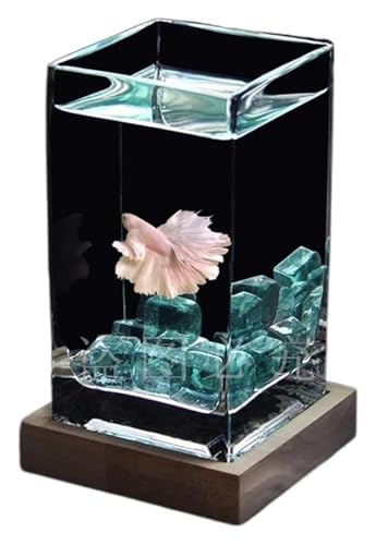 AtBbV{EA ؐx[Xt݂̂KX㏬^(Blue)