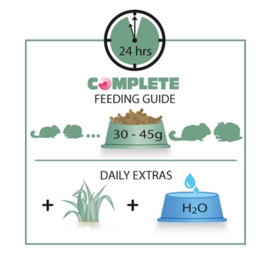 Versele-Laga Complete Chinchilla & Degu | 500 g | Alleinfuttermittel für Chinchillas und Degus | Faserreiche All-in-one-Extrudate | Ohne Zuckerzusatz und mit Leinsamen