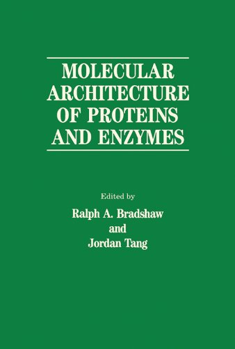 Molecular Architecture of Proteins and Enzymes
