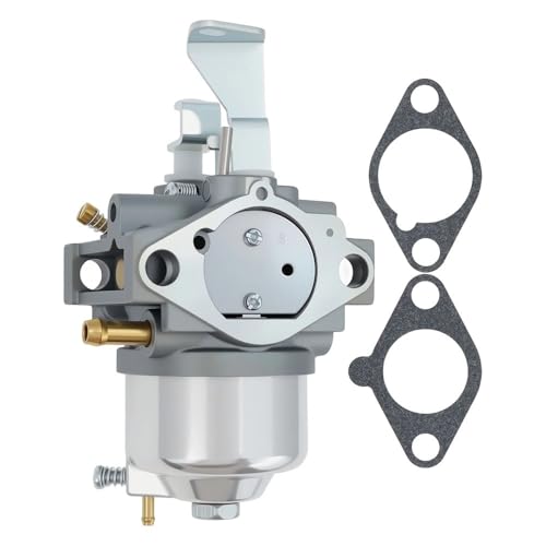 Carburateur BS 716116 pour éliminer les fuites d'essence du moteur thermique 246435