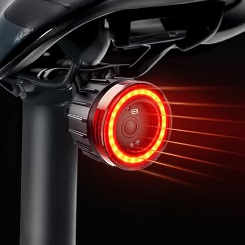 Bike Tail Light,Smart Bicycle Rear Light,USB-C Rechargable Bike Light with Brake Sensing Motion Sensing,Light Sensing Bump Sensing 6 Modes Installation Cover