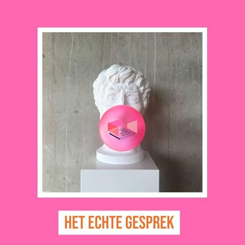 HET ECHTE GESPREK cover art