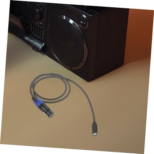 Câble microphone Type-C ifundom transmission pure console 2pcs