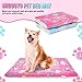 MICOOYO Hundebox Bett Matratze - Fleece Haustier Kissen Bett Matte, Waschbar Katzenkissen Pad für kleine Hunde Katze Welpen (61 * 41cm)