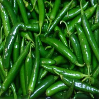 BIOCARVE SEEDS Chilli (Mirch) Seeds | Pack of 1 (No of Seeds: 50) (B09S9V918S) Amazon Price History, Amazon Price Tracker