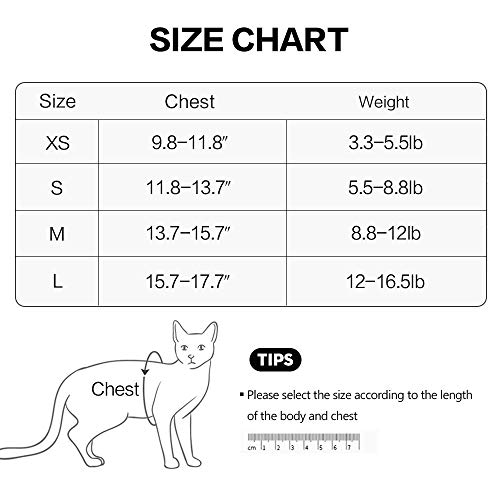 Cat Harness Leash Straps Soft and Comfortable Cat Walking Jacket with Running Cushioning and Escape Proof for Puppies with Cationic Fabric by LIANZIMAU - Image 2
