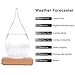 Graces Dawn Glass Weather Forecast Glass Bottle Cool Stylish Modern Decoration (Including) the beautiful wooden base