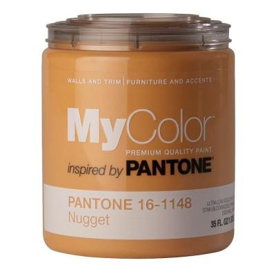 MyColor inspired by PANTONE Self Priming Paint 35 FL. OZ