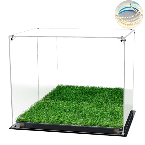 Football Helmet Display Case Full Size - LED Tricolor Light Strip, Artificial Turf Grass, Mirror Back, Focus On Helmet Display Case.