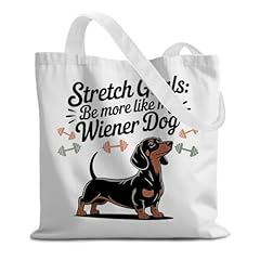 Dachshund - 1