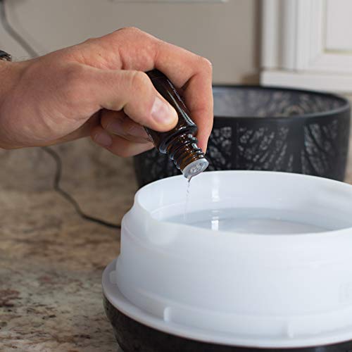 Aroma Outfitters Large Iron Essential Oil Diffuser | Aromatherapy Diffuser That Purifies Air | Ultrasonic Humidifier 7 Color LED Lights | Home Essentials | Scent Diffuser | Large Water Tank of 500mL - Image 6