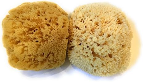 Natural Wool and Yellow Sea Sponge - (2 Item Bundle, 5-6 inch each) for Bathing, Showering, and Exfoliating