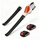 Souffleur de Feuilles sans Fil avec 2 Batteries 24V et Chargeur,...