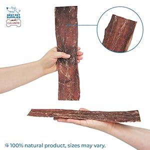   GigaBite-12-Inch-Beef-Esophagus-Dog-Treat-Strips-by-Best-Pet-Supplies-Pack-of-10-TES-12-10