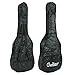 ZENY Beginners 38 inch Acoustic Guitar Package Kit for Right-handed Starters Music Lovers w/ Case, Strap, Pitch Pipe and Pick (Black)