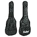 ZENY 38" New Beginners Acoustic Guitar With Guitar Case, Strap, Tuner and Pick (Black)