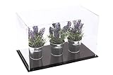 Better Display Cases Versatile Acrylic Clear Display Case - Medium Rectangle Box with Black Base 14"