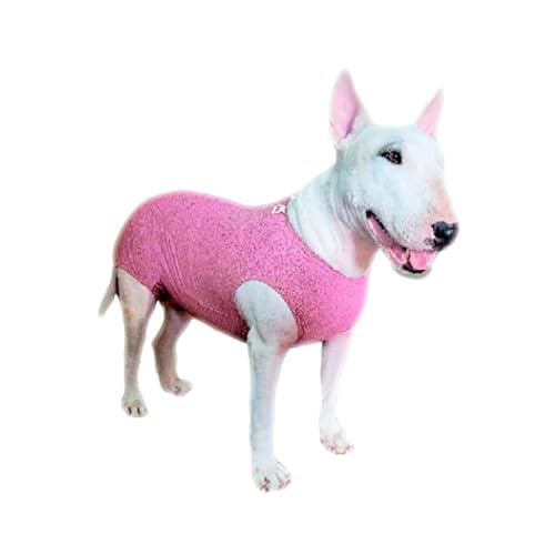 Roupa Protetora Pós Cirúrgica Pet Para Castração de Cachorro Tecido Dry Fit Com Proteção Solar UV 50