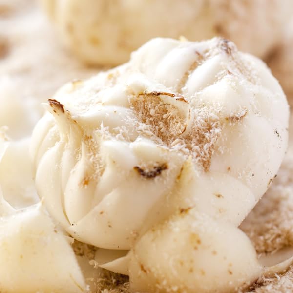 Amazon.co.jp: 北海道産 ゆり根 2kg (共撰/2L-3Lサイズ/8個～13個入り