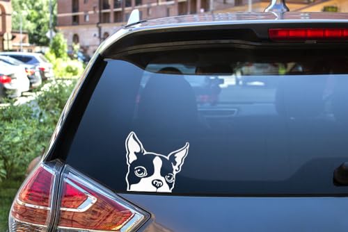 Image of WIRESTER 6 inch Clear Vinyl Decal Sticker Decoration for Car Window (Or Any Flat Surface) - Boston Terrier Dog